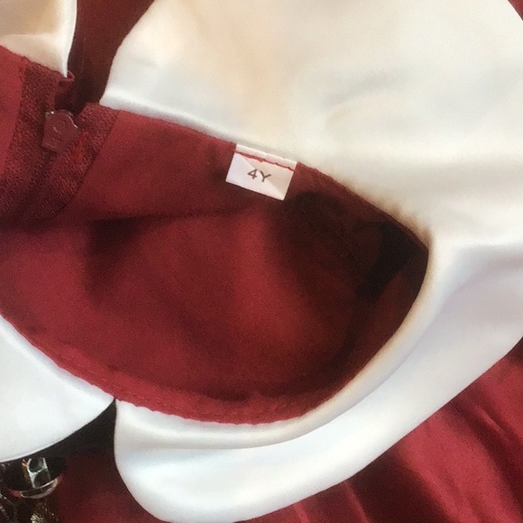 Brick-Red Dressy Girls Dress W/Short Sleeves Ruffles Zipper & Tie Back ~ Sz 4 - Picture 7 of 11